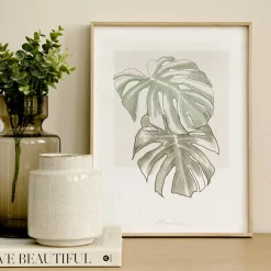 Monstera